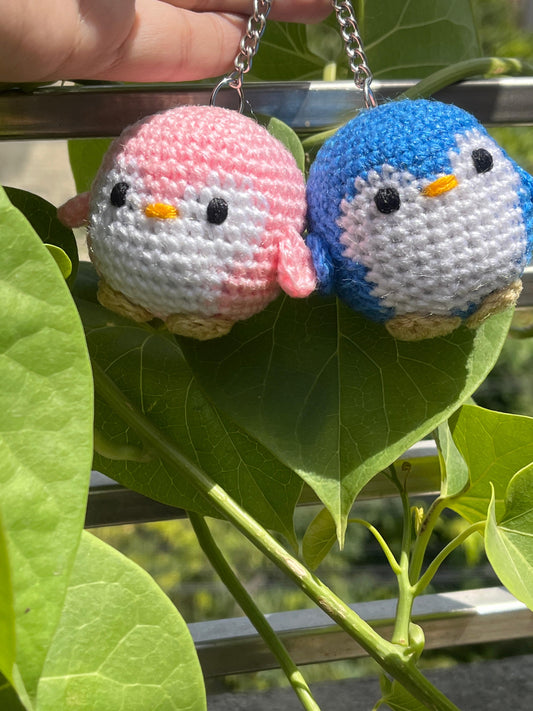 Cute Birds